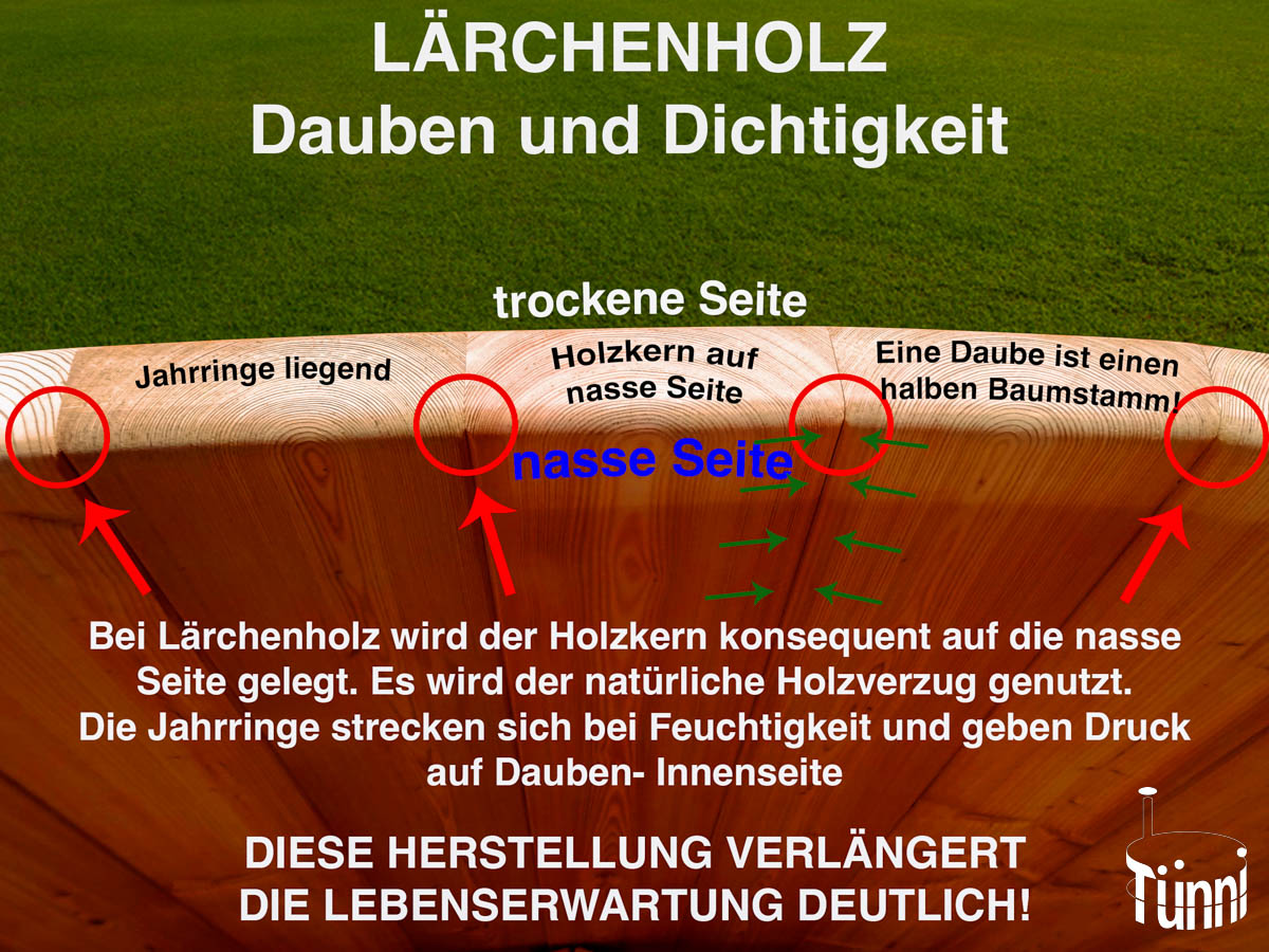 Qualitätsmerkmale Lärchenholz Daube Qualitätsmerkmale Lärchenholz Daube