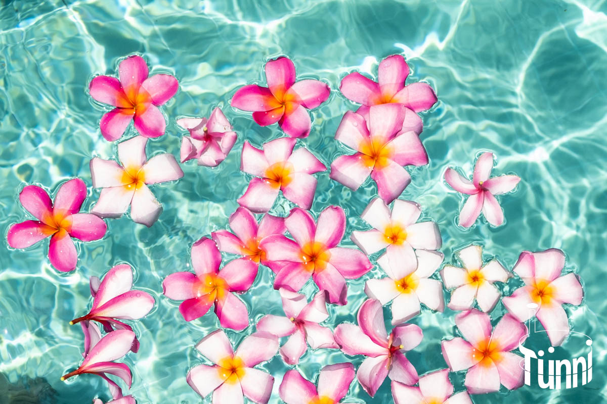 Hotpot im Frühling Hotpot im Frühling